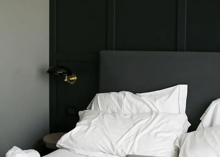 酒店 C-外交官酒店 4*